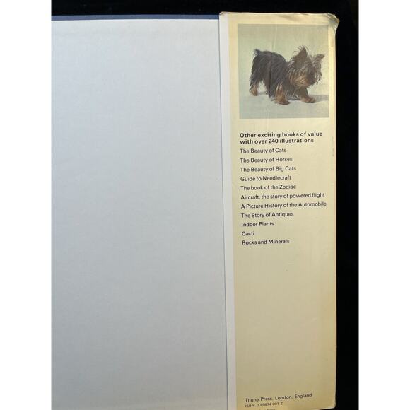 Vintage The Beauty of Dogs by Kenneth Bailey London England w Dust Jacket 1972 - Picture 13 of 13